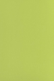 Verde 463 